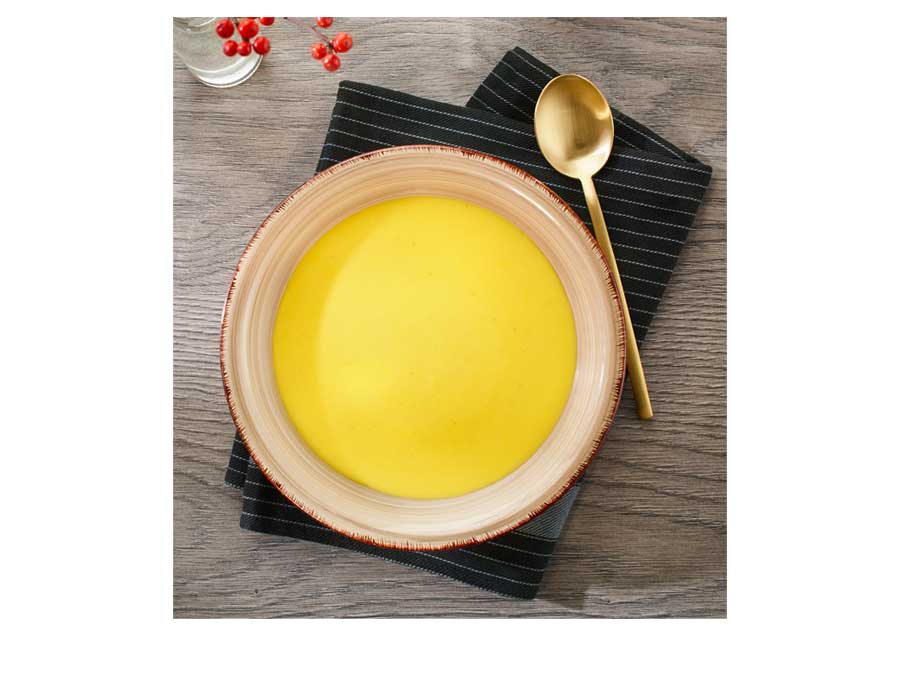 Cremesuppen winVitalis