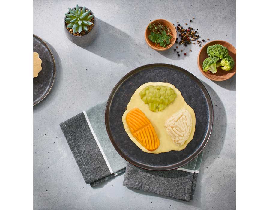 Püriertes Essen von winVitalis