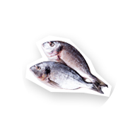 Eiweißreiche Lebensmittel